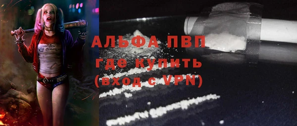СК Беломорск