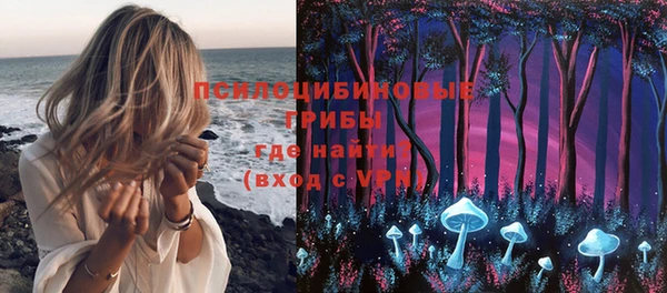 mix Няндома